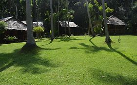 Paradise Lost Resort
